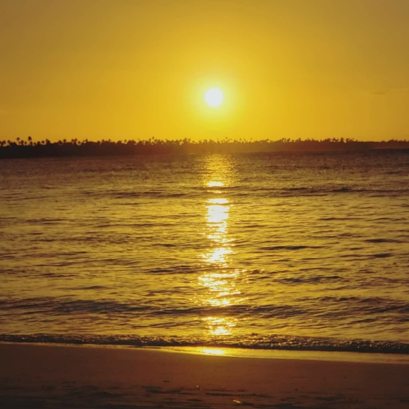 Meet your Posher, Seastars - Picture 3 of 8